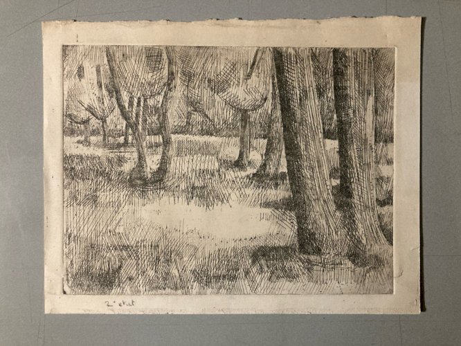 Gravure Eau Forte 1950 Paysage Arbre Foret Art Lithographie Estampe Art