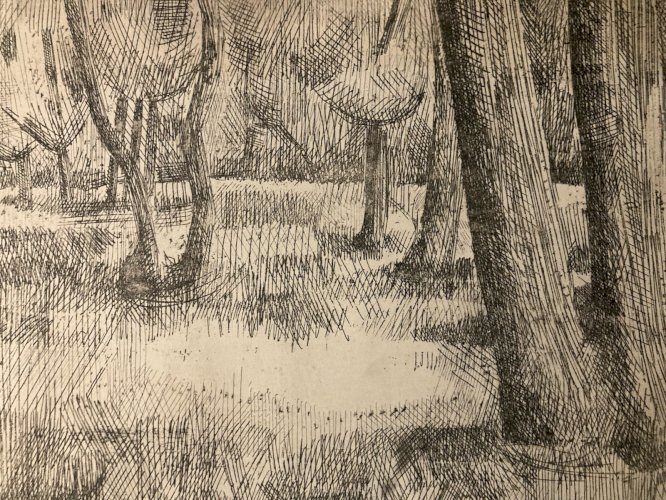 Gravure Eau Forte 1950 Paysage Arbre Foret Art Lithographie Estampe Art