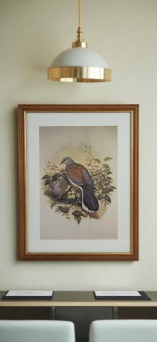 Gravure / Impression Oiseau daprès J. Gould