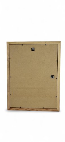 Gravure / Impression Oiseau daprès J. Gould