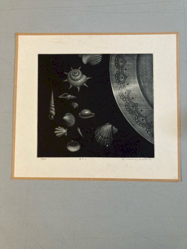 Gravure Manière Noire coquillages Japon Coquillage a identifier Art