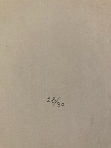 Gravure Oiseau Verre Animal Oiseau Portrait 1970 À Identifier Art Fort