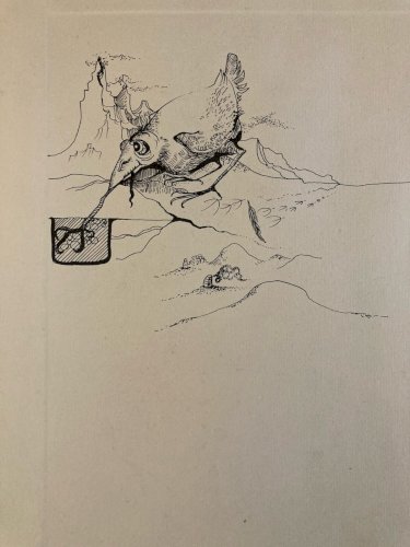 Gravure Oiseau Verre Animal Oiseau Portrait 1970 À Identifier Art Fort