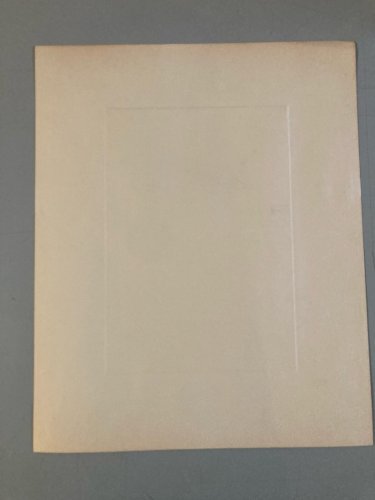 Gravure Oiseau Verre Animal Oiseau Portrait 1970 À Identifier Art Fort