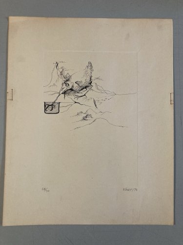 Gravure Oiseau Verre Animal Oiseau Portrait 1970 À Identifier Art Fort