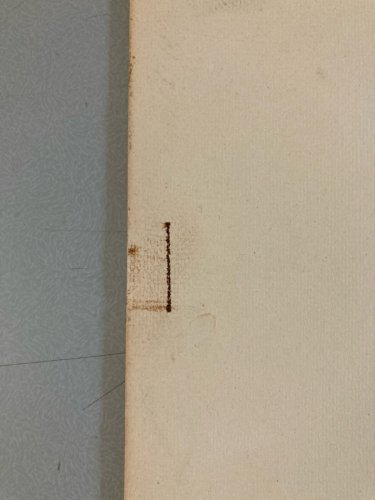 Gravure Oiseau Verre Animal Oiseau Portrait 1970 À Identifier Art Fort