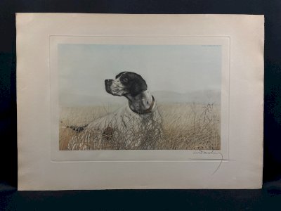 Original engraving signed Léon DANCHIN 1887-1938 featuring a hunting dog