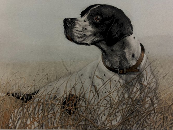 Gravure originale signée Léon DANCHIN 1887-1938 au chien de chasse