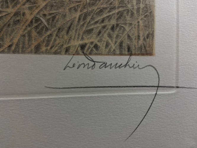 Gravure originale signée Léon DANCHIN 1887-1938 au chien de chasse