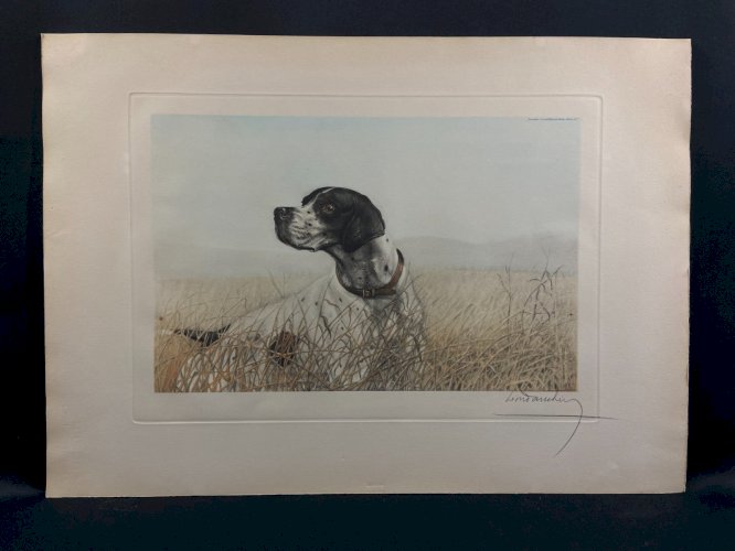 Gravure originale signée Léon DANCHIN 1887-1938 au chien de chasse