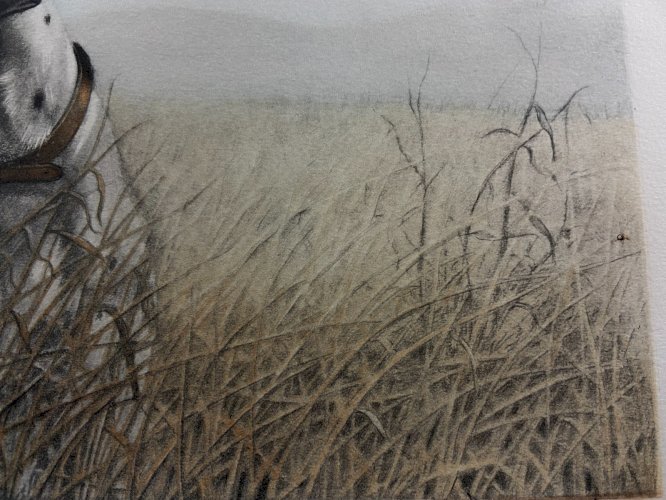 Gravure originale signée Léon DANCHIN 1887-1938 au chien de chasse