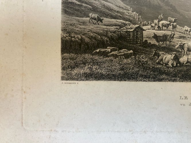 Gravure Originale XIXe Estampe Chamonix Mont Blanc Alpes Vache Paysage Ancien