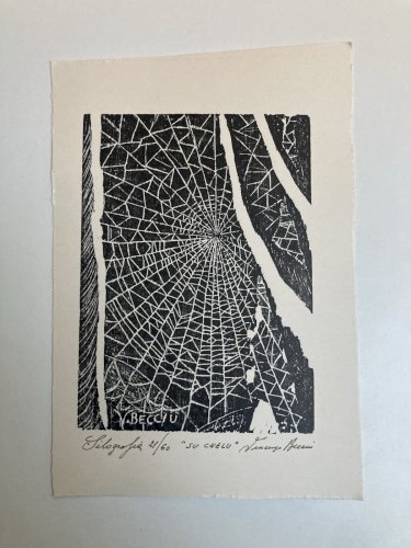 Gravure Silografie Araignée Toile A Identifier Vladimir Bacciu Art 1980