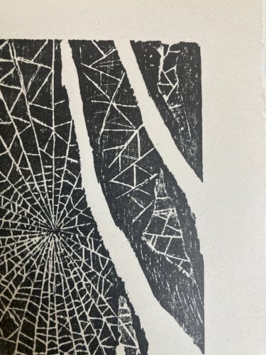 Gravure Silografie Araignée Toile A Identifier Vladimir Bacciu Art 1980