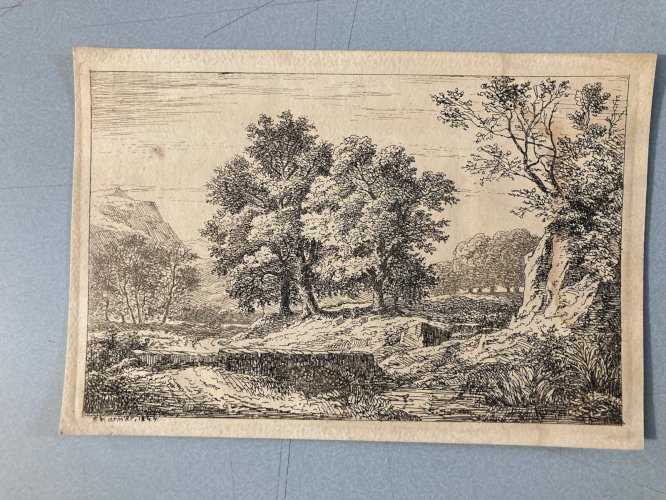 Gravure XIXe signée Jean-Claude Charmier 1844 Engraving signed Arbre