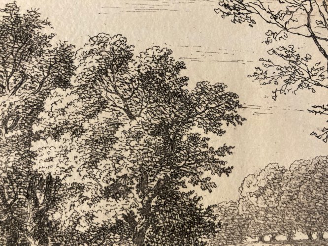 Gravure XIXe signée Jean-Claude Charmier 1844 Engraving signed Arbre