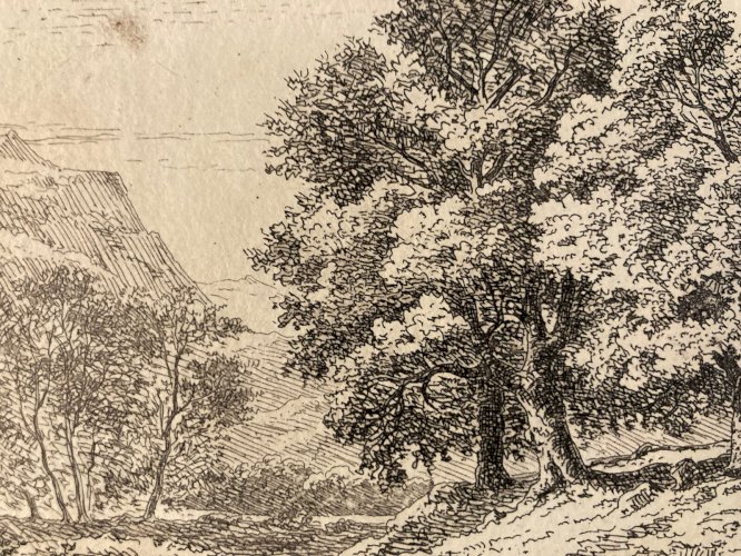 Gravure XIXe signée Jean-Claude Charmier 1844 Engraving signed Arbre