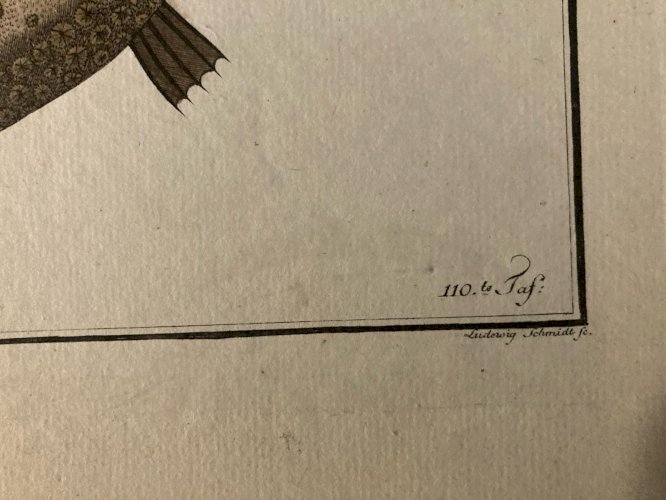 Gravure  XVIIIe 1795 Poisson Ludwig SCHMIDT Crapaud De Mer Kruger Animal