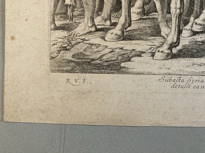 Gravure XVIIIe Ou Avant Nicolas Chapron Engraving Art Ancien Old Cheval Animal