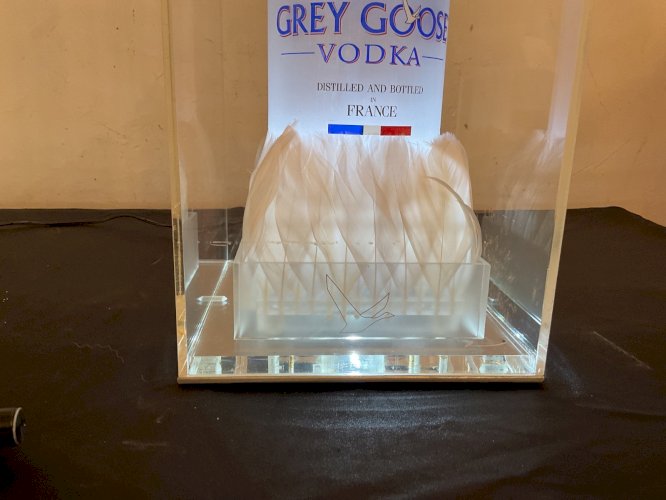 Grey Goose enseigne lumineuse Light Up Bottle Stand