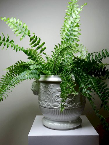 Gros cache pot/seau à champagne porcelaine Haviland Limoges repro St Cloud