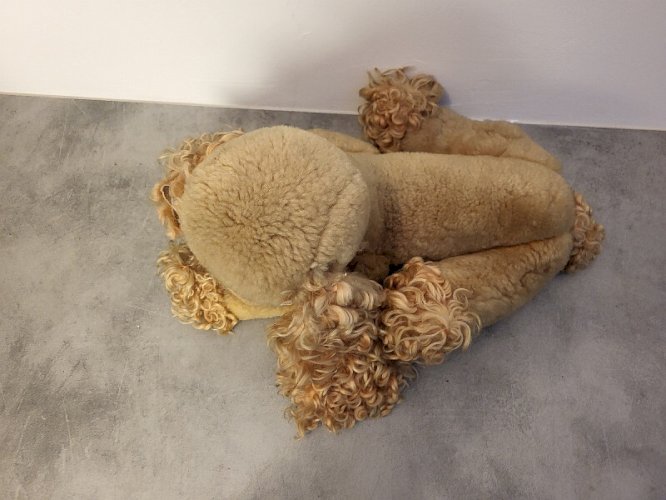 GROSSE PELUCHE ANCIENNE CHIEN COUCHE JOUET ANCIEN