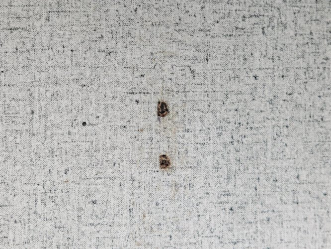 Hanna, la table d'appoint en bois N°379