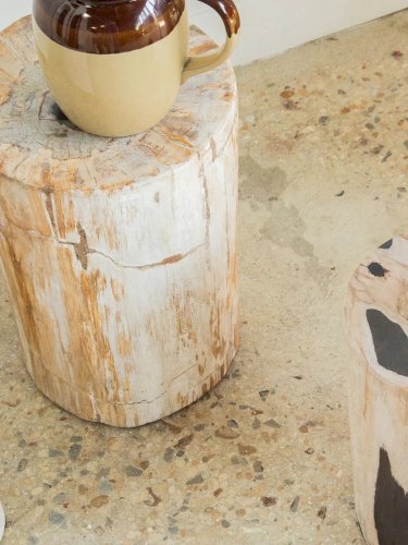 Hanna, la table d'appoint en bois pétrifié N°531