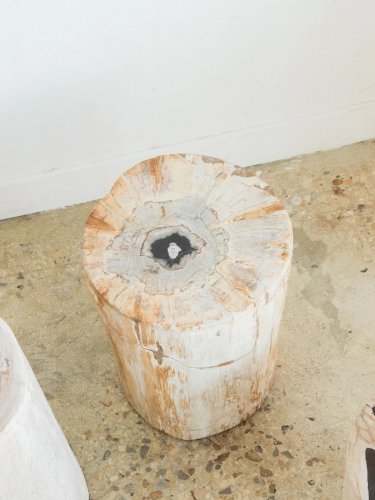 Hanna, la table d'appoint en bois pétrifié N°531