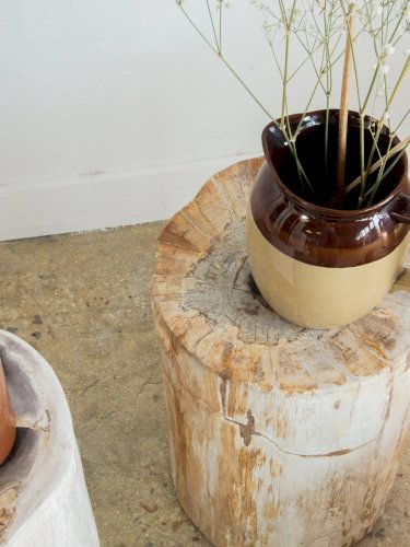 Hanna, la table d'appoint en bois pétrifié N°531