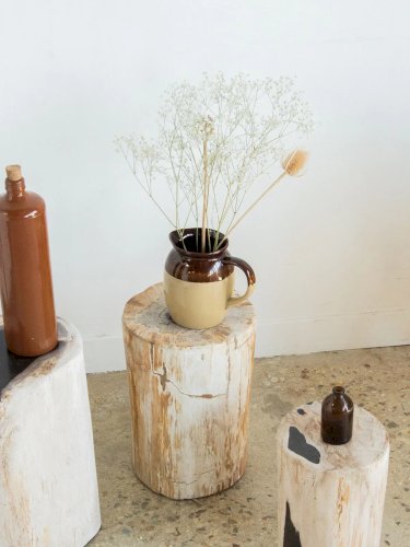 Hanna, la table d'appoint en bois pétrifié N°531