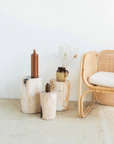 Hanna, la table d'appoint en bois pétrifié N°531