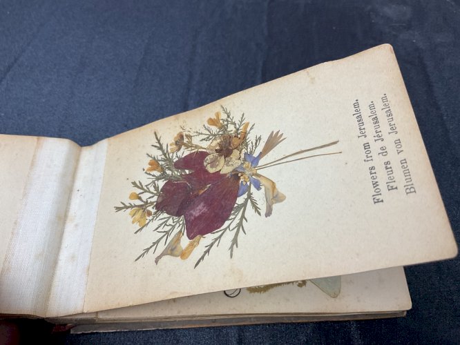 HERBIER 1908 JERUSALEM FLEURS DE TERRE SAINTE / FLOWERS FROM HOLY LAND