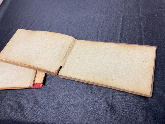 HERBIER 1908 JERUSALEM FLEURS DE TERRE SAINTE / FLOWERS FROM HOLY LAND