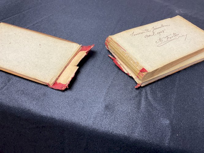 HERBIER 1908 JERUSALEM FLEURS DE TERRE SAINTE / FLOWERS FROM HOLY LAND