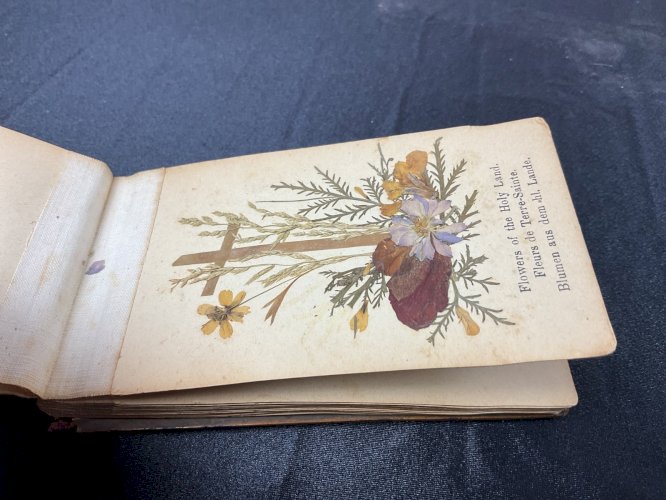 HERBIER 1908 JERUSALEM FLEURS DE TERRE SAINTE / FLOWERS FROM HOLY LAND