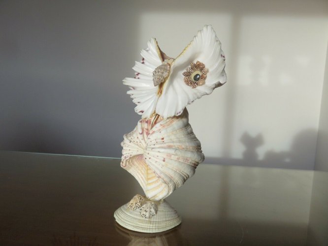 HIBOU OU CHOUETTE EN COQUILLAGE ANNEES 60 70 VINTAGE