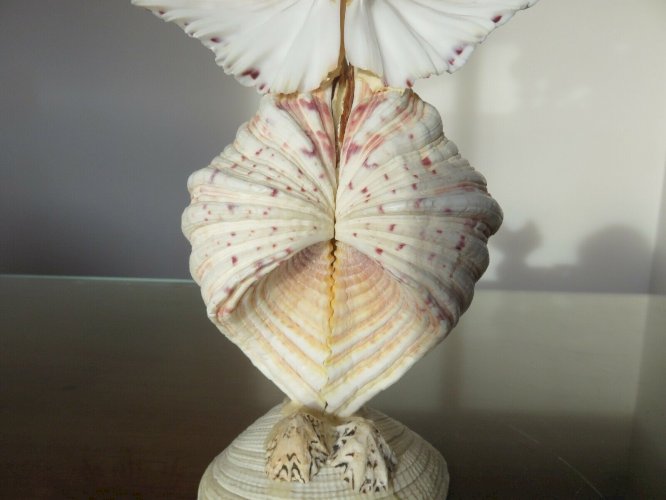 HIBOU OU CHOUETTE EN COQUILLAGE ANNEES 60 70 VINTAGE