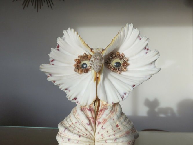 HIBOU OU CHOUETTE EN COQUILLAGE ANNEES 60 70 VINTAGE