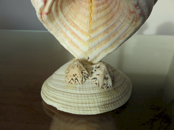 HIBOU OU CHOUETTE EN COQUILLAGE ANNEES 60 70 VINTAGE