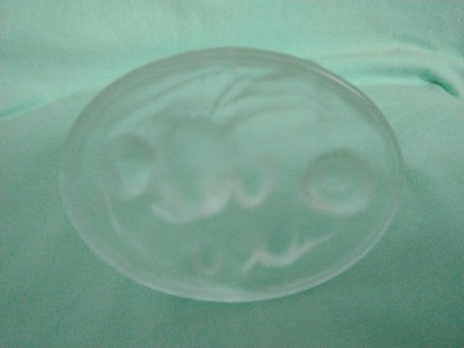 Hippocampe en cristal