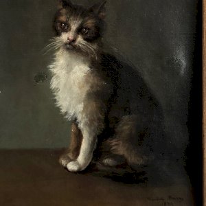 dot