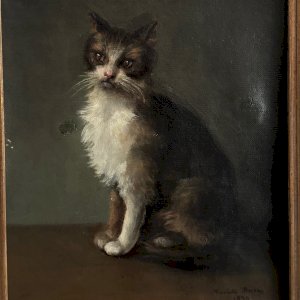 dot