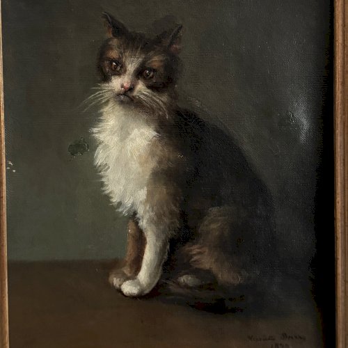Huile sur toile portrait de chat signé Henriette Barry 1899 A5631