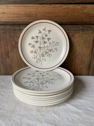 Huit assiettes plates anglaises vintage Biltons 