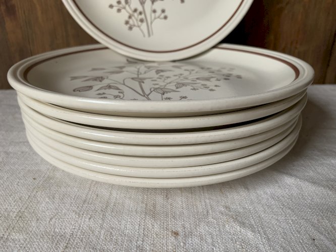 Huit assiettes plates anglaises vintage Biltons 