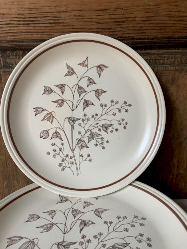 Huit assiettes plates anglaises vintage Biltons 