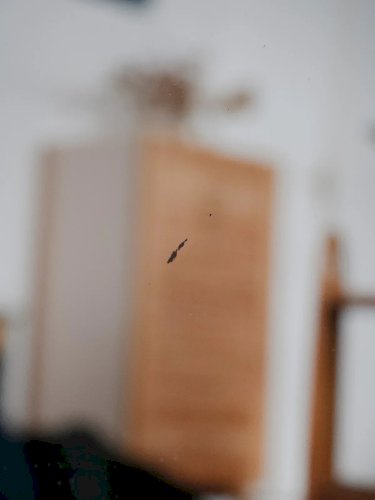 Igor, le miroir en bois N°871