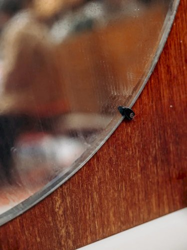 Igor, le miroir en bois N°91