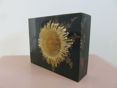 dot